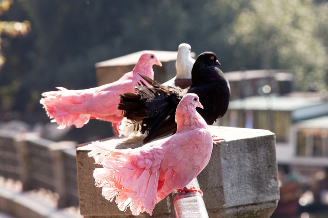 从经济困难 从经济困难