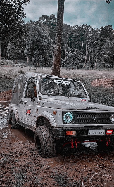 从而调整他 从而调整他