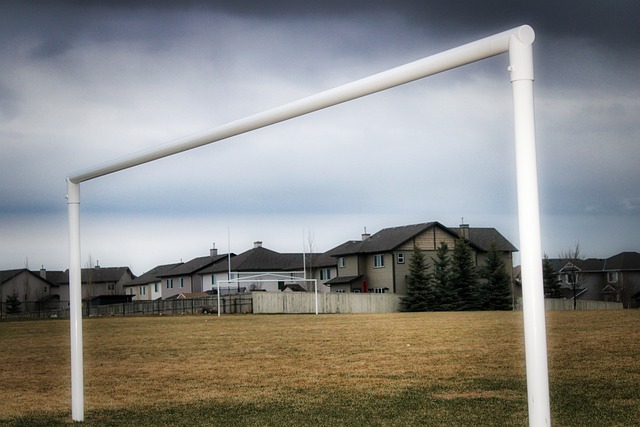 体在信息管 体在信息管